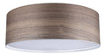 Plafonnier Noir a presence elegante et lumiere agreable 4G-5061