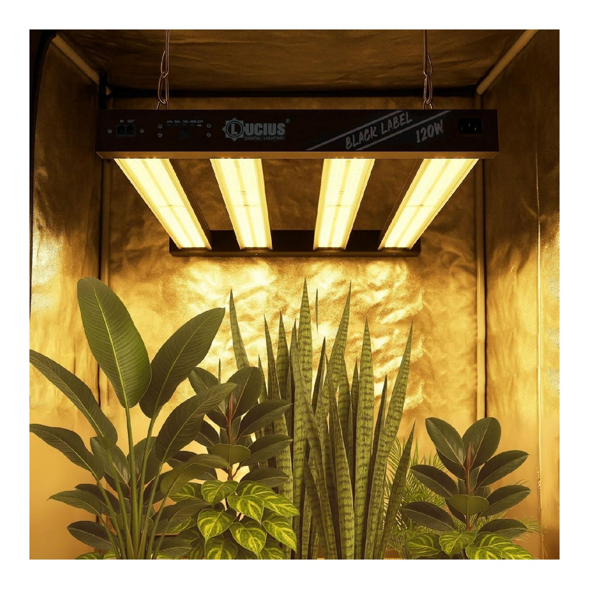 Solution lumineuse Noir et Rouge au dessin sobre en format luminaire 120 W